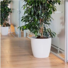 Empressco Bahcepazarı Yakut Saksı 7,4 Lt Kırık Beyaz Renk - Fiyatı, Yorumları