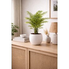 Empressco Küre Model Dekoratif Modern Saksı 7,5 Lt Beyaz - Fiyatı, Yorumları