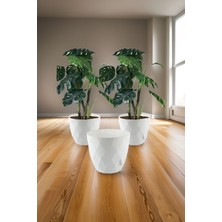Empressco No4 3 Adet 4,8 Litre Prizma Desenli Tabaklı Plastik Saksı Yakamoz(Beyaz) - Fiyatı, Yorumları