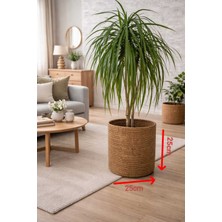 Empressco 25&25 El Emeği Dekoratif Saksı Kılıfı Dekoratif Doğal ve Şık 25CM*25CM - Fiyatı, Yorumları