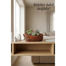 Empressco Ağaç Kabuğu Dokulu Dekoratif Saksı Serisi - Fiyatı, Yorumları