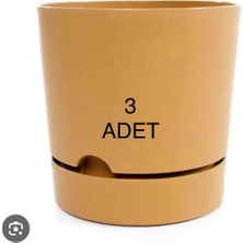 Empressco 3 Adet Poliwork Begonya Saksı Hardal 21CM 3 Adet - Fiyatı, Yorumları