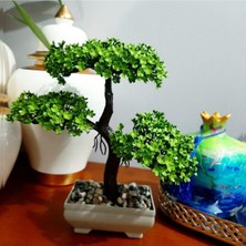Empressco Yapay Bonsai Ağacı,saksılı Yapay Bonsai Ağacı Yıldız Çiçeği Ağacı - Fiyatı, Yorumları
