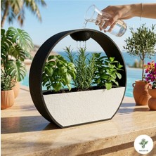 Empressco Dekoratif Damla Sulama Sistemli Modern Saksı - 3 Parçalı Tasarım / Sukulent Bitki Saksısı - Fiyatı, Yorumları