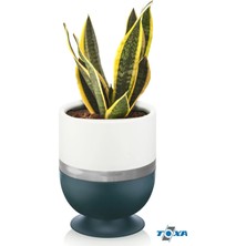 Empressco Kordon Oval Ayaklı Saksı 4 Litre Mavi - Fiyatı, Yorumları