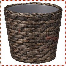 Empressco Md Druvflader Rattan Saksı, Su Sümbülü, 12 cm - Fiyatı, Yorumları