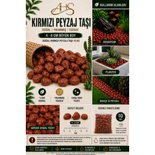 Empressco Kırmızı Bordo Dolomit Çakıl Taşı 4-6 cm 10 kg Dekoratif Bahçe Peyzaj Saksı Akvaryum Teraryum - Fiyatı, Yorumları