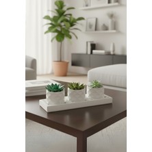 Empressco 3’lü Sukulent Saksı Seti (Dolomit Taşı Dahildir,bitkiler Dahil Değildir) - Fiyatı, Yorumları