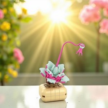 Empressco Mini Botanica | Göl Çiçeği – Lotus Nelumbo Bitkisi – Diy 3D Yapboz Mini Saksı Blok SET-72PCS - Fiyatı, Yorumları