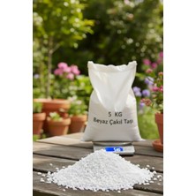 Empressco 5 kg Beyaz Çakıl Taşı – Vazo Saksı Bahçe Taşı, Doğal & Dekoratif - Fiyatı, Yorumları