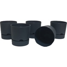 Empressco Avantajlı Set 5 Adet Begonya 12 cm Tabaklı Saksı Antrasit 1 Lt - Fiyatı, Yorumları