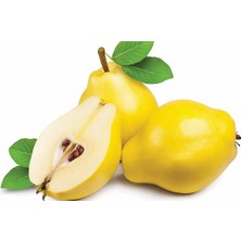 Hamile Marketim Taze Ayva (1 Kg) Çıtır