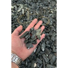 Empressco Green Angel Dolomit Çakıl Taşı Yeşil Beyaz Çizgili 1-2 cm 10 kg Dekoratif Bahçe Saksı Akvaryum Taşı - Fiyatı, Yorumları