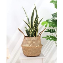 Empressco Naturel Katlanabilir Hasır Sepet Pinterest Stil Saksılık Düzenleyici Mutfak Düzenleyici Sepet - Fiyatı, Yorumları