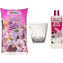 Empressco Orkide Bakım Set Serinova Saksı - Orkide Toprağı (3lt) Saksı (1,5lt) Besin (225ML) - Orkide Vitamini - Fiyatı, Yorumları