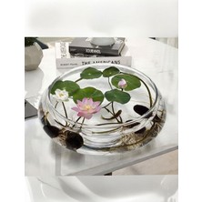 Empressco 10 Adet Lotus Çiçeği Cam Fanusta Yetişen Su Çiçeği Tohumu Kutsal Lotus Tohumu - Fiyatı, Yorumları