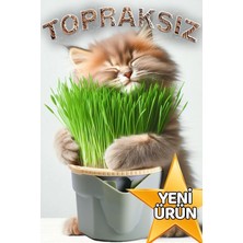 Empressco Exelox Topraksız Doğal Kedi Çimi Suda Yetiştirme Saksısı Tüy Yumağı Önleyici Hidroponik Saksı Kiti - Fiyatı, Yorumları