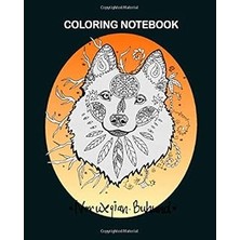 Nacario Coloring Book: Doodlebu In Color 8 x 10 Inches