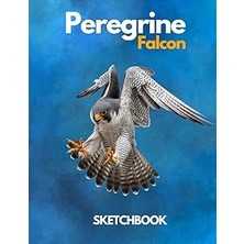 Nacario Peregrine Falcon Sketchbook Large Sketchbook For Drawing 8.5 x 11 Inch (21.59 x 27.94 Cm) 15