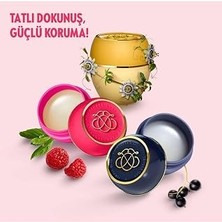 Nacario Oriflame Tender Care Balm 3'lü Set, Çarkıfelek Meyvesi Çekirdeği Özlü, Ahududu Özlü