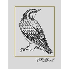 Nacario Sketchbook: Bird Sketch, Large 8.5" x 11", 110 Pages, Perfect For Everyone, Crayons, Pencils