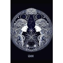 Nacario Gemini Journal