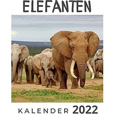Nacario Elefanten: Kalender 2022