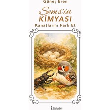 İkinci Adam Yayınları Şems’in Kimyası