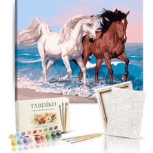 Empressco Sayılarla Boyama Seti 40 x 50 cm Tuval Şasesine Gerili Atlar - Fiyatı, Yorumları