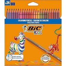 Vintessy Bıc Kids Evolution Stripes Kuru Boya Kalemi, 24'lü Kutu