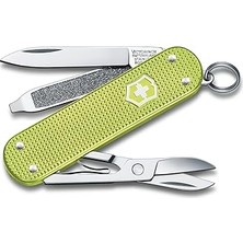 Vintessy Victorinox Çakı Classic Tasty Grape Mor Kutuda