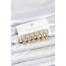 Clariss 316L Çelik Gold Renk Zirkon Taşlı Halka Küpe Seti