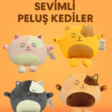Empressco Sevimli Pelüş Yastık Tombik Kedi 35 cm - Fiyatı, Yorumları