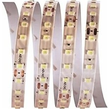 Cata 12V 12W 120 LED Şerit LED 5 Metre 3200K Gün Işığı Esnek Bant CT-4540
