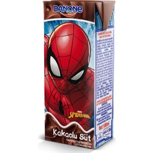 Danone Disney Kakaolu Süt 180 ml (9'li Paket)