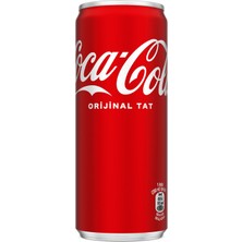 Coca-Cola Orijinal Tat Kutu 250 ml (3'li Paket)