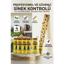 Eco Lounge Yapışkanlı Sinek Şeridi Sinek Kapanı 4 Adet 721533
