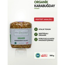 Soul Kitchen Organik Karabuğday (Greçka) 500 gr