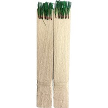 Barracuda 2755-KÖPÜKTE 10 Iğneli Çinekop Çapari(2'li Paket)