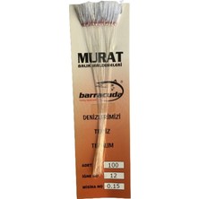 Barracuda BRC-162 Istavrit Çapari Kösteği 100 Iğne