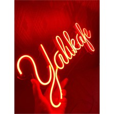 Deccor Evim 8 Harfli Kişiye Özel Neon LED Yazı
