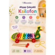 Bloomin Kutulu Ahşap Tekerli  Figürlü Çekçek Selefon , Ksilofon Ahşap Müzik Aleti, Tekerlekli Çek Çek Çocuk Bebek