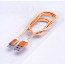 Zore Gold Type-C Mıknatıslı USB Kablo