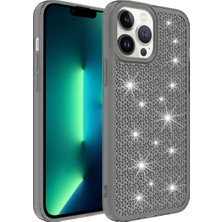 Zore iPhone 13 Pro Uyumlu Airbagli Parlak Tasarımlı Nvth Snow Kapak-Siyah