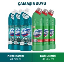 Domestos Dual Action Kireç Karşıtı Çamaşır Suyu 750ML X3 Domestos Çamaşır Suyu Dağ Esintisi 750ML X3