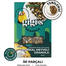 Gigi's Tropikal Meyveli  Granola