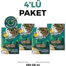 Gigis Food Tropikal Meyveli Granola - Spirulina, Chia 4'lü Paket 4X250 Gram