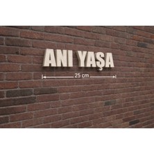 Buççin Online Mağaza  25 cm Anı Yaşa Yazılı 3 Boyutlu Minimalist Duvar Panosu Plastik Beyaz