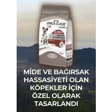 Unica Classe Sindirim Sağlığı | Tüm Irklar için Kuzu Etli Köpek Maması 10kg | %100 İtalyan Superpremium