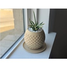 Empressco Petek Desenli Oval Şeklinde Modern Şık Saksı